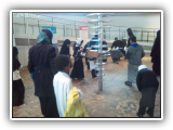 Al-Falah Children Explore City Hall